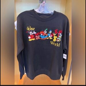 Disney parks sweater Sweatshirt embroidered WDW 2026